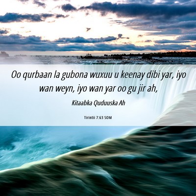 Picture 06 - Tirintii 7:63 SOM - Oo qurbaan la gubona wuxuu u keenay dibi yar, iyo - Bible Verse Picture