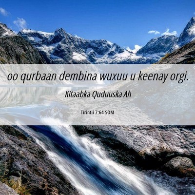Picture 06 - Tirintii 7:64 SOM - oo qurbaan dembina wuxuu u keenay - Bible Verse Picture