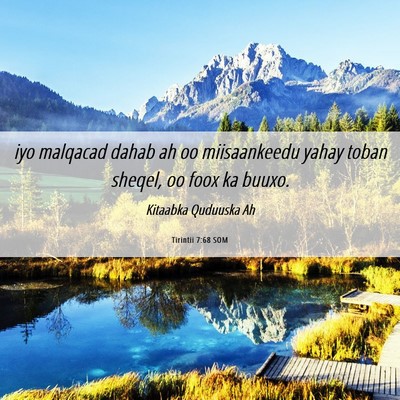 Picture 06 - Tirintii 7:68 SOM - iyo malqacad dahab ah oo miisaankeedu yahay toban - Bible Verse Picture