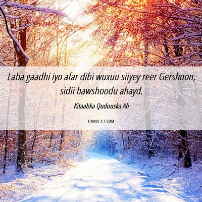 Picture 06 - Tirintii 7:7 SOM - Laba gaadhi iyo afar dibi wuxuu siiyey reer - Bible Verse Picture