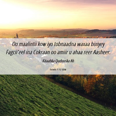 Picture 06 - Tirintii 7:72 SOM - Oo maalintii kow iyo tobnaadna waxaa bixiyey - Bible Verse Picture