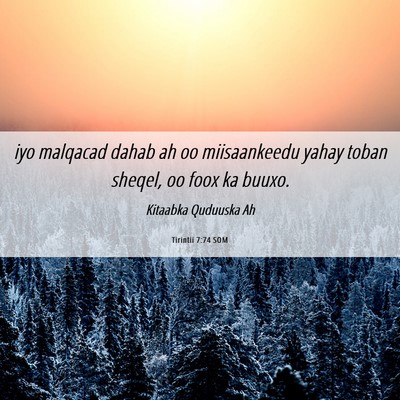 Picture 06 - Tirintii 7:74 SOM - iyo malqacad dahab ah oo miisaankeedu yahay toban - Bible Verse Picture