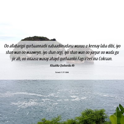 Picture 06 - Tirintii 7:77 SOM - Oo allabarigii qurbaannadii nabaadiinadana wuxuu - Bible Verse Picture