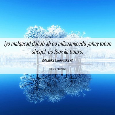 Picture 06 - Tirintii 7:80 SOM - iyo malqacad dahab ah oo miisaankeedu yahay toban - Bible Verse Picture