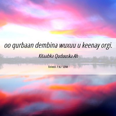 Picture 06 - Tirintii 7:82 SOM - oo qurbaan dembina wuxuu u keenay - Bible Verse Picture