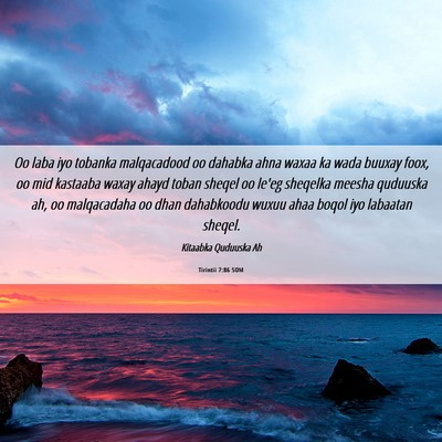 Picture 06 - Tirintii 7:86 SOM - Oo laba iyo tobanka malqacadood oo dahabka ahna - Bible Verse Picture
