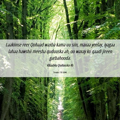 Picture 06 - Tirintii 7:9 SOM - Laakiinse reer Qohaad waxba kama uu siin, maxaa - Bible Verse Picture