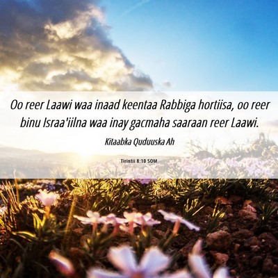 Picture 06 - Tirintii 8:10 SOM - Oo reer Laawi waa inaad keentaa Rabbiga hortiisa, - Bible Verse Picture