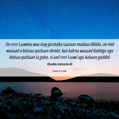 Picture 06 - Tirintii 8:12 SOM - Oo reer Laawina waa inay gacmaha saaraan madaxa - Bible Verse Picture