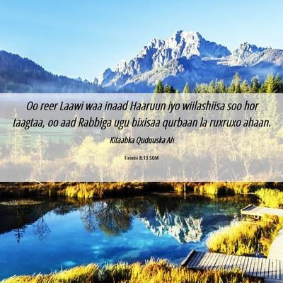 Picture 06 - Tirintii 8:13 SOM - Oo reer Laawi waa inaad Haaruun iyo wiilashiisa - Bible Verse Picture