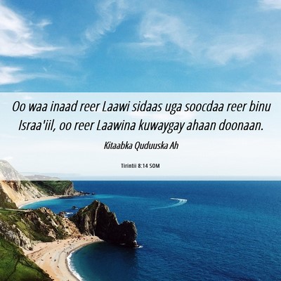 Picture 06 - Tirintii 8:14 SOM - Oo waa inaad reer Laawi sidaas uga soocdaa reer - Bible Verse Picture