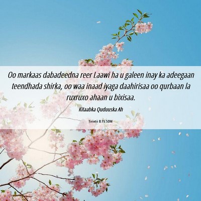 Picture 06 - Tirintii 8:15 SOM - Oo markaas dabadeedna reer Laawi ha u galeen inay - Bible Verse Picture