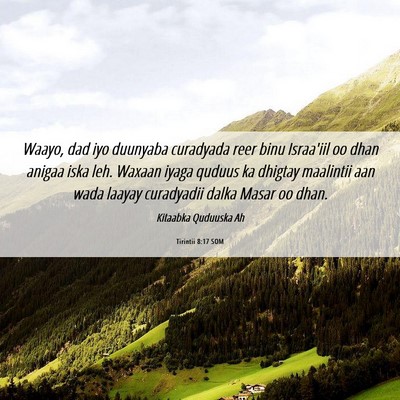 Picture 06 - Tirintii 8:17 SOM - Waayo, dad iyo duunyaba curadyada reer binu - Bible Verse Picture