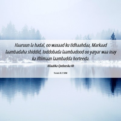 Picture 06 - Tirintii 8:2 SOM - Haaruun la hadal, oo waxaad ku tidhaahdaa, - Bible Verse Picture