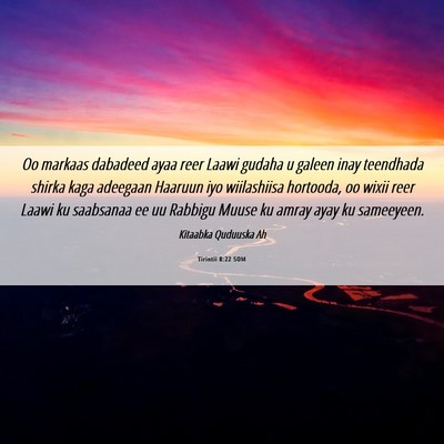 Picture 06 - Tirintii 8:22 SOM - Oo markaas dabadeed ayaa reer Laawi gudaha u - Bible Verse Picture