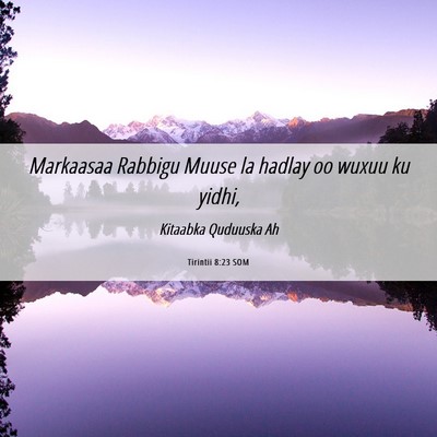 Picture 06 - Tirintii 8:23 SOM - Markaasaa Rabbigu Muuse la hadlay oo wuxuu ku - Bible Verse Picture
