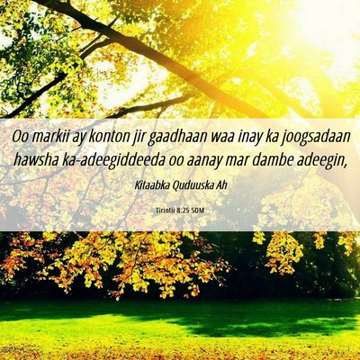 Picture 06 - Tirintii 8:25 SOM - Oo markii ay konton jir gaadhaan waa inay ka - Bible Verse Picture