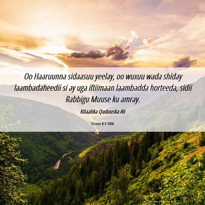 Picture 06 - Tirintii 8:3 SOM - Oo Haaruunna sidaasuu yeelay, oo wuxuu wada - Bible Verse Picture