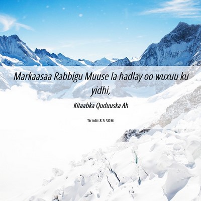 Picture 06 - Tirintii 8:5 SOM - Markaasaa Rabbigu Muuse la hadlay oo wuxuu ku - Bible Verse Picture