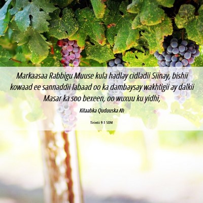 Picture 06 - Tirintii 9:1 SOM - Markaasaa Rabbigu Muuse kula hadlay cidladii - Bible Verse Picture