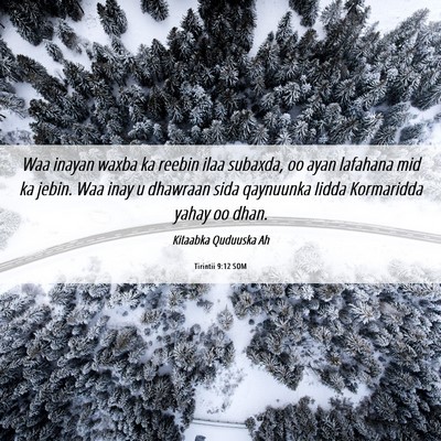 Picture 06 - Tirintii 9:12 SOM - Waa inayan waxba ka reebin ilaa subaxda, oo ayan - Bible Verse Picture