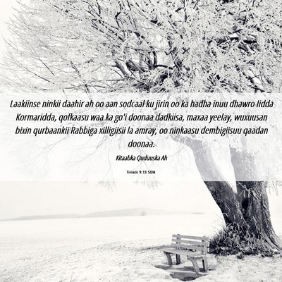 Picture 06 - Tirintii 9:13 SOM - Laakiinse ninkii daahir ah oo aan sodcaal ku - Bible Verse Picture