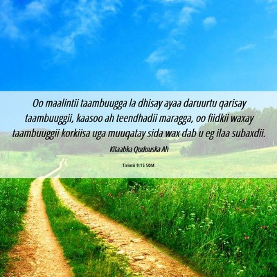Picture 06 - Tirintii 9:15 SOM - Oo maalintii taambuugga la dhisay ayaa daruurtu - Bible Verse Picture