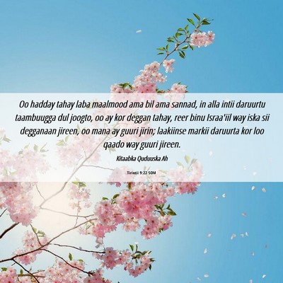 Picture 06 - Tirintii 9:22 SOM - Oo hadday tahay laba maalmood ama bil ama sannad, - Bible Verse Picture
