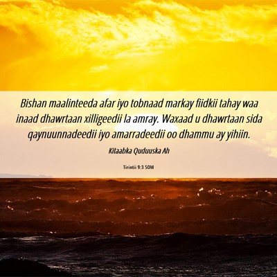 Picture 06 - Tirintii 9:3 SOM - Bishan maalinteeda afar iyo tobnaad markay - Bible Verse Picture