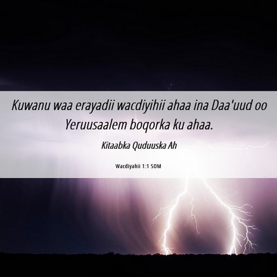 Picture 06 - Wacdiyahii 1:1 SOM - Kuwanu waa erayadii wacdiyihii ahaa ina Daa'uud - Bible Verse Picture