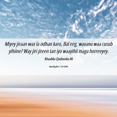 Picture 06 - Wacdiyahii 1:10 SOM - Miyey jiraan wax la odhan karo, Bal eeg, waxanu - Bible Verse Picture