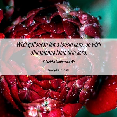 Picture 06 - Wacdiyahii 1:15 SOM - Wixii qalloocan lama toosin karo, oo wixii - Bible Verse Picture