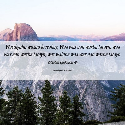 Picture 06 - Wacdiyahii 1:2 SOM - Wacdiyuhu wuxuu leeyahay, Waa wax aan waxba - Bible Verse Picture