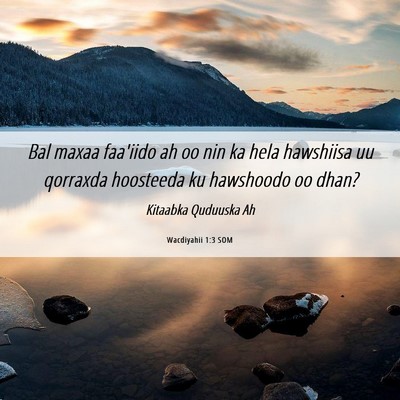 Picture 06 - Wacdiyahii 1:3 SOM - Bal maxaa faa'iido ah oo nin ka hela hawshiisa uu - Bible Verse Picture