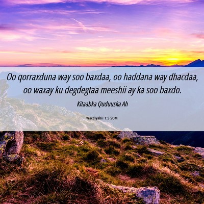 Picture 06 - Wacdiyahii 1:5 SOM - Oo qorraxduna way soo baxdaa, oo haddana way - Bible Verse Picture