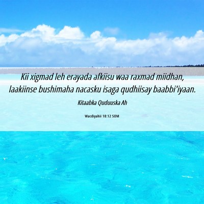 Picture 06 - Wacdiyahii 10:12 SOM - Kii xigmad leh erayada afkiisu waa raxmad - Bible Verse Picture