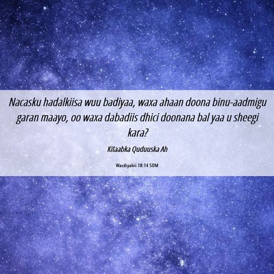 Picture 06 - Wacdiyahii 10:14 SOM - Nacasku hadalkiisa wuu badiyaa, waxa ahaan doona - Bible Verse Picture