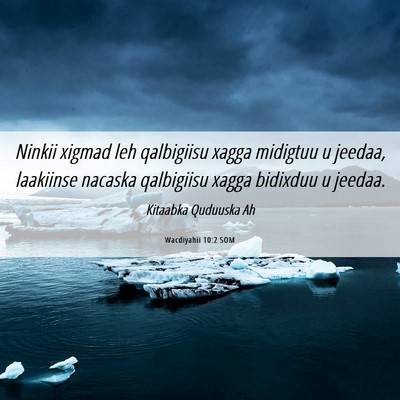 Picture 06 - Wacdiyahii 10:2 SOM - Ninkii xigmad leh qalbigiisu xagga midigtuu u - Bible Verse Picture