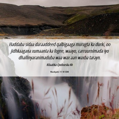 Picture 06 - Wacdiyahii 11:10 SOM - Haddaba sidaa daraaddeed qalbigaaga murugta ka - Bible Verse Picture
