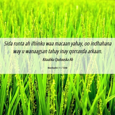 Picture 06 - Wacdiyahii 11:7 SOM - Sida runta ah iftiinku waa macaan yahay, oo - Bible Verse Picture