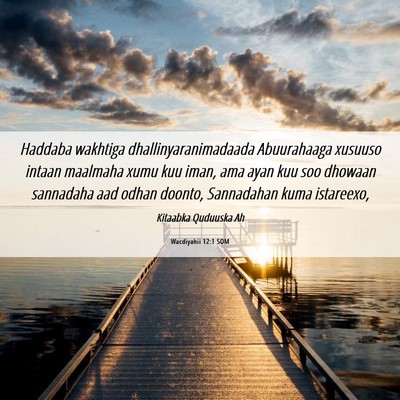 Picture 06 - Wacdiyahii 12:1 SOM - Haddaba wakhtiga dhallinyaranimadaada Abuurahaaga - Bible Verse Picture