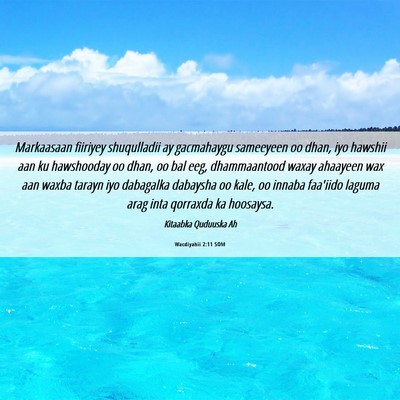 Picture 06 - Wacdiyahii 2:11 SOM - Markaasaan fiiriyey shuqulladii ay gacmahaygu - Bible Verse Picture