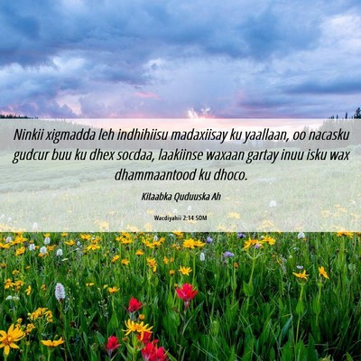 Picture 06 - Wacdiyahii 2:14 SOM - Ninkii xigmadda leh indhihiisu madaxiisay ku - Bible Verse Picture