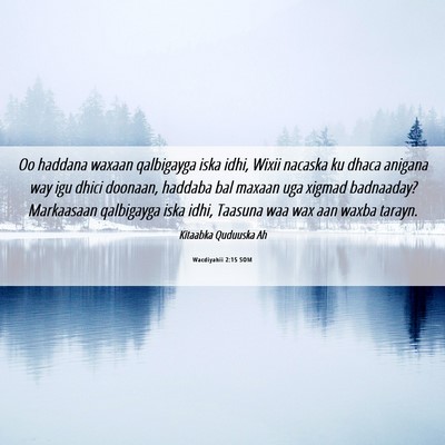 Picture 06 - Wacdiyahii 2:15 SOM - Oo haddana waxaan qalbigayga iska idhi, Wixii - Bible Verse Picture