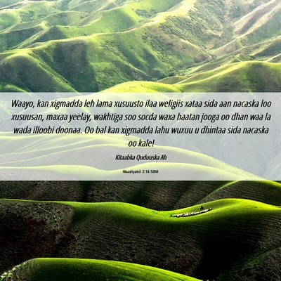 Picture 06 - Wacdiyahii 2:16 SOM - Waayo, kan xigmadda leh lama xusuusto ilaa - Bible Verse Picture