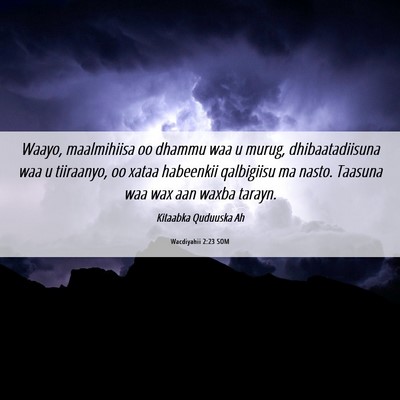 Picture 06 - Wacdiyahii 2:23 SOM - Waayo, maalmihiisa oo dhammu waa u murug, - Bible Verse Picture