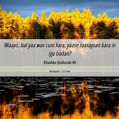 Picture 06 - Wacdiyahii 2:25 SOM - Waayo, bal yaa wax cuni kara, yaase raaxaysan - Bible Verse Picture