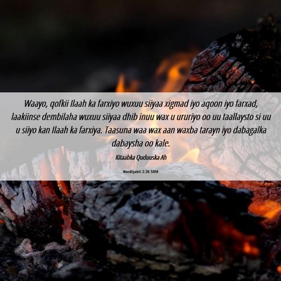 Picture 06 - Wacdiyahii 2:26 SOM - Waayo, qofkii Ilaah ka farxiyo wuxuu siiyaa - Bible Verse Picture