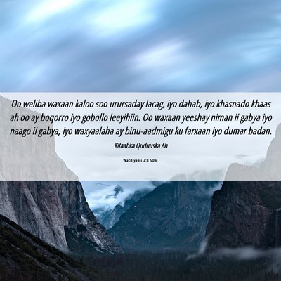 Picture 06 - Wacdiyahii 2:8 SOM - Oo weliba waxaan kaloo soo urursaday lacag, iyo - Bible Verse Picture