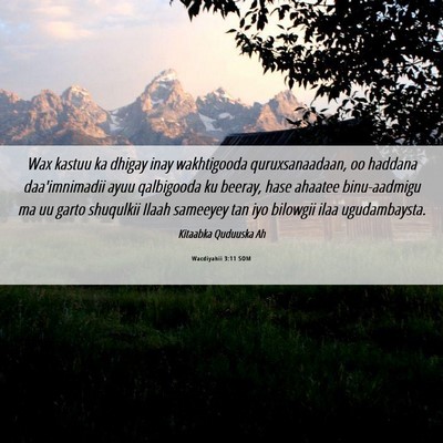 Picture 06 - Wacdiyahii 3:11 SOM - Wax kastuu ka dhigay inay wakhtigooda - Bible Verse Picture